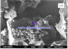 SiO2-AMT catalyst SEM image SiO2-AMT catalyst SEM image