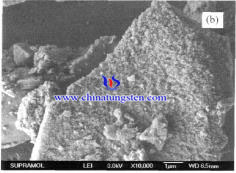 deactivated SiO2-AMT catalyst SEM deactivated SiO2-AMT catalyst SEM