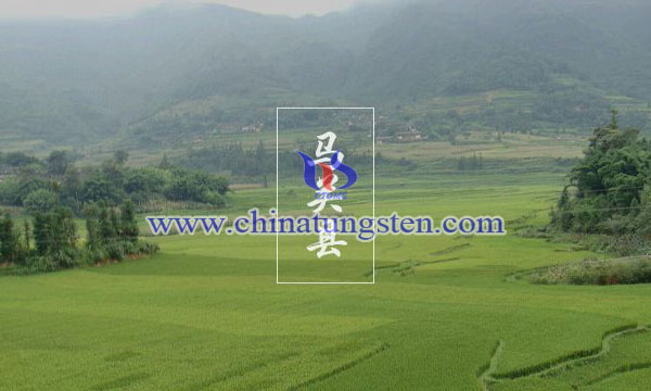 雲(yún)南馬關(guān)縣圖片