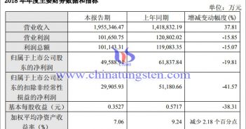 廈鎢2018年年度財(cái)務(wù)資料圖片