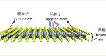 二維層狀納米材料:納米二硫化鎢 二維層狀納米材料:納米二硫化鎢圖片