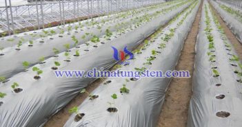 隔熱農(nóng)膜用納米氧化鎢 隔熱農(nóng)膜用納米氧化鎢圖片