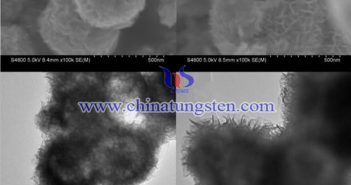 專利文檔序號(hào)爲(wèi)28486888 WS2空心球電鏡圖