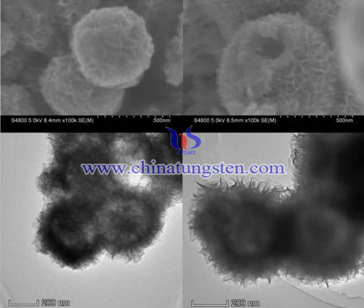 專利文檔序號(hào)爲(wèi)28486888 WS2空心球電鏡圖