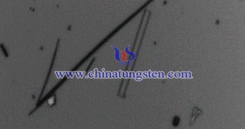 綫狀紫鎢圖片（圖源：文檔序號(hào)爲(wèi)17784637的專利）