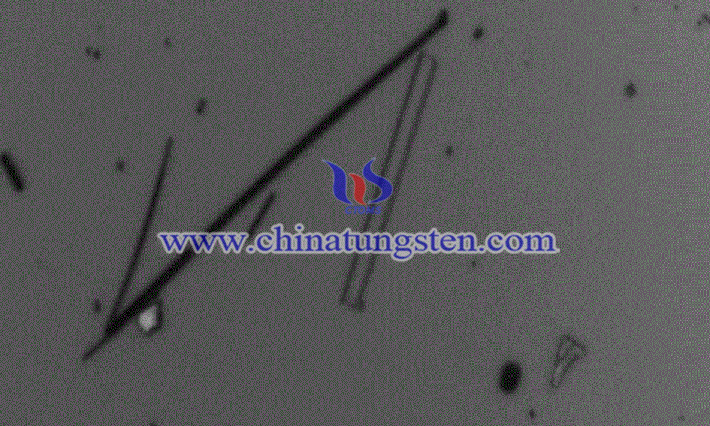綫狀紫鎢圖片(圖源:文檔序號(hào)爲(wèi)17784637的專利)