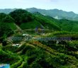 洛陽鉬業(yè)鎢礦山圖片