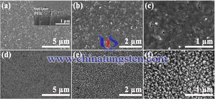 SEM images of seed layer and bare FTO glass