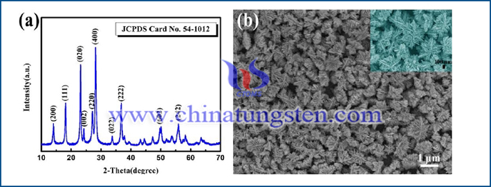 a is XRD pattern of tungsten trioxide nanosheet b is FE-SEM image of WO3 nanosheet