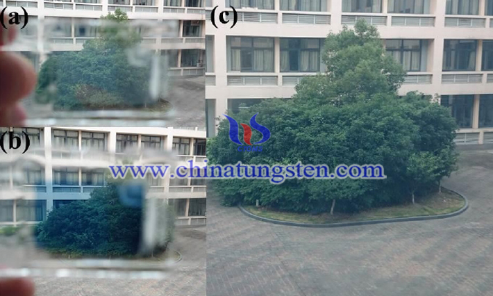 photographs of the ECD at bleached a and colored b states