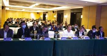 CTIA‘s 2021 Tungsten & Cemented Carbide Development Research Annual Meeting, Shanghai CTIA‘s 2021 Tungsten & Cemented Carbide Development Research Annual Meeting, Shanghai