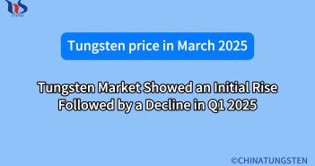 Tungsten Market Showed an Initial Rise Followed by a Decline in Q1 2025 what is the market for tungsten market in march 2025