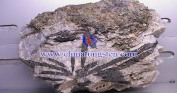 鎢精礦價(jià)格影響因素 鎢精礦圖片