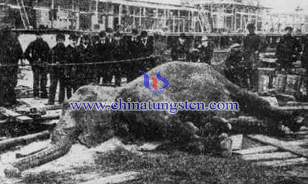 1903年被電死的紐約公園馬戲團(tuán)大象“圖潑西”。（紀(jì)錄片Electrocuting an Elephant）