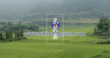 云南馬關(guān)縣圖片