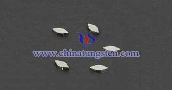 鎢合金手機(jī)振子 鎢合金手機(jī)振子圖片