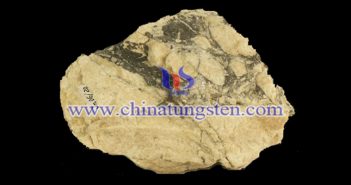 音頻:章源鎢業(yè)長(zhǎng)單持平 鎢市僵局難破 黑鎢礦圖片