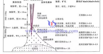脈型鎢礦床找礦預(yù)測(cè)地質(zhì)模型