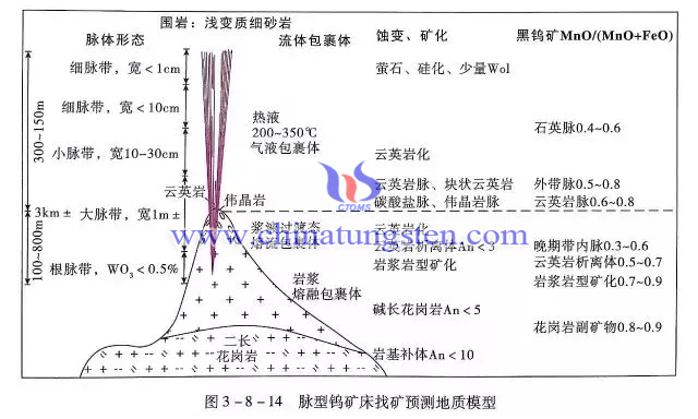 脈型鎢礦床找礦預(yù)測(cè)地質(zhì)模型