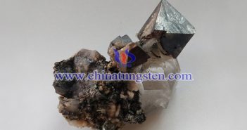 【直播新聞】2月PMI指數(shù)跳水 鎢市需求擔(dān)憂增加 白鎢礦圖片