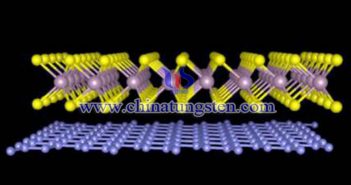 數(shù)碼相機鋰電池負極用二硫化鎢納米片圖片