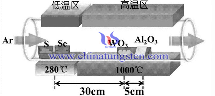 化學(xué)氣相沉積方法制備硒摻雜二硫化鎢圖片