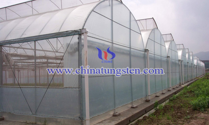 隔熱農(nóng)膜用紫色氧化鎢圖片