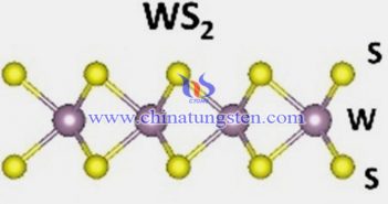 燒結法制備N摻雜WS2納米片圖片