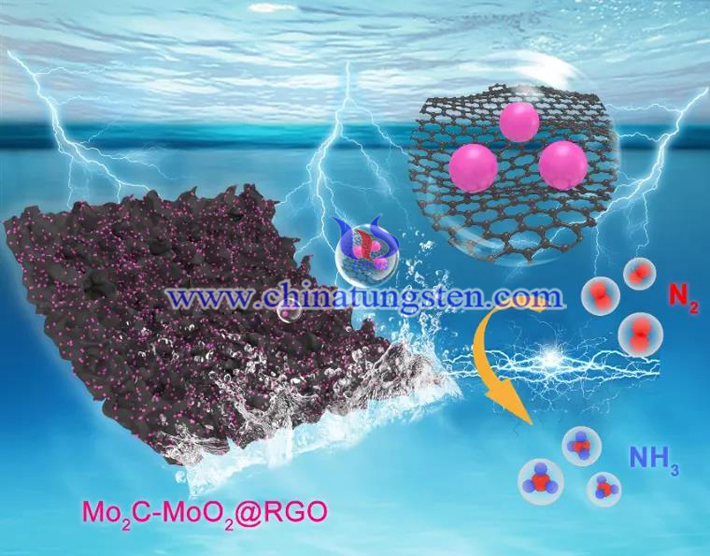 Mo2C-MoO2異質(zhì)結(jié)構(gòu)提高產(chǎn)氨速率圖片