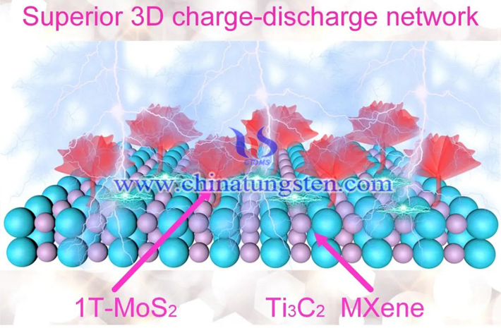 1T-MoS2/Ti3C2 MXene異質(zhì)結(jié)構(gòu)示意圖(圖源:F.Long/Chemical Engineering Journal)