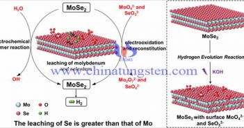 MoSe2在堿性析氫反應(yīng)中的應(yīng)用圖片（圖源：Advanced Energy Materials）
