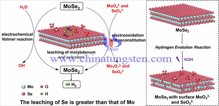 MoSe2在堿性析氫反應中的應用圖片(圖源:Advanced Energy Materials)