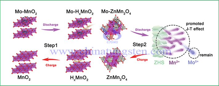 Mo-MnO2電極儲(chǔ)能機(jī)制模型(圖源:Xiaoming Sun/Nano Research)