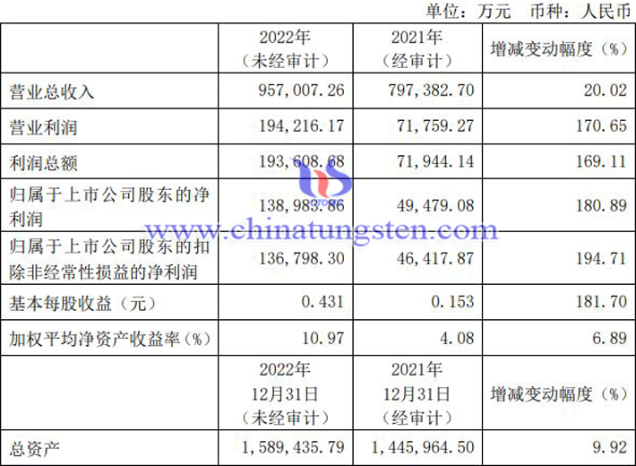 金鉬股份2022年業(yè)績(jī)快報(bào)公告