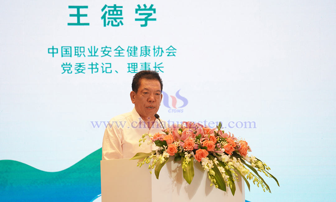 中國職業(yè)安全健康協(xié)會黨委書記、理事長 王德學(xué)