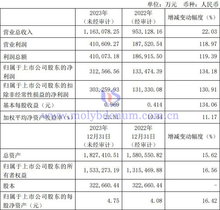 金鉬股份2023年業(yè)績(jī)報(bào)告圖片