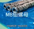 M8鉬螺母圖片